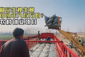 河南南阳：90后农村小伙返乡创业做花生秸秆生意，到底挣钱吗？视频封面
