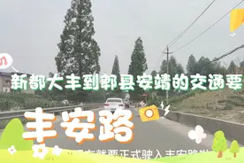 成都市新都区大丰镇到郫县安靖镇的交通要道丰安路居然才两车道