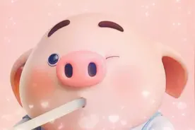 豬小屁视频封面