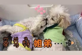 姐弟俩一会互相攻击，一会姐弟情深，杀马特的发型太搞笑。