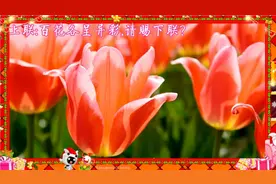 花朵对联，上联:百花各呈异彩,请对友们来对下联？视频封面