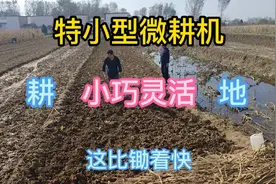 河南农村，这小型微耕机真不错，耕地灵活方便省劲视频封面