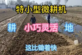 河南农村，这小型微耕机真不错，耕地灵活方便省劲视频封面