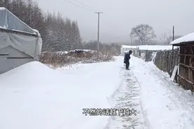 东北原始森林第二场百年难遇的大雪，带领朋友看看真实雪景。视频封面
