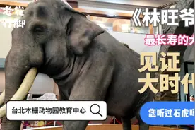 带您去看台湾最长寿的大象，台北动物园一个大小孩子们的快乐天堂视频封面