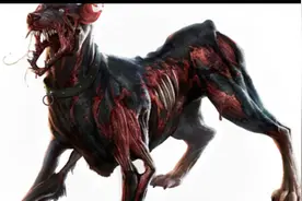 僵尸狗真的存在……？