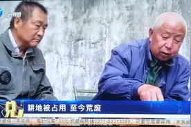 耕地被占用  至今荒废视频封面