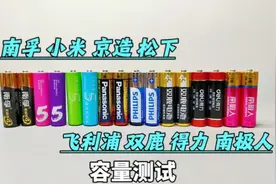八款5号碱性电池横评，贴牌掀翻老牌视频封面