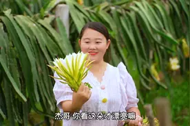 原来火龙果花也能做出这么好吃的美食，夏天来了 做一个小火锅吧视频封面
