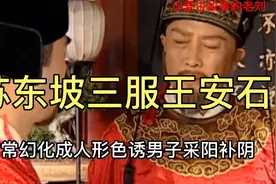 历史故事：苏东坡三服王安石。看才高八斗的苏轼如何折服于王荆公视频封面