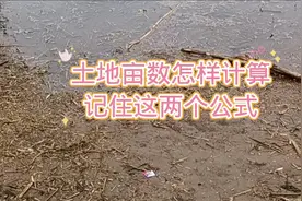 土地亩数怎样计算？记住这两个公式视频封面