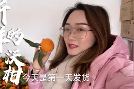 广西新鲜沃柑第一天发货，果农早上采摘送来，直播卖货咯视频封面