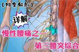 详解：慢性腰痛之一腰三横突综合征【推拿解剖】视频封面