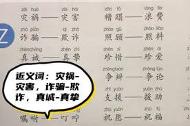 近义词：灾祸-灾害，诈骗-欺诈，真诚-真挚，照顾-照料……