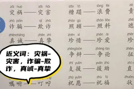 近义词：灾祸-灾害，诈骗-欺诈，真诚-真挚，照顾-照料……视频封面