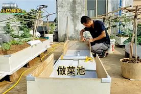 楼顶天台制作全新的种菜池子，70块就能做一个，制作成品太美了视频封面