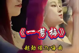 劲爆Dj《一剪梅》老歌新唱，优美动感回味无穷！超嗨超好听
