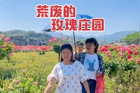 带媳妇去荒废玫瑰庄园，里面杂草丛生依旧漂亮，媳妇开心像个孩子视频封面