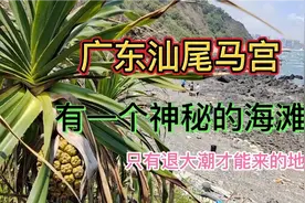 广东汕尾马宫，有一个神秘的海滩，只有退大潮了才能来到这里视频封面