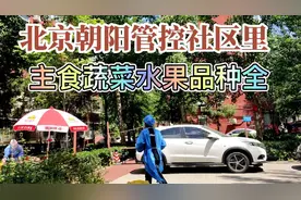 北京朝阳继续管控，多品种蔬菜主食不出社区能买到，便宜又新鲜视频封面