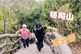 深圳小梧桐山登山路线首选凌云道，最快捷，最陡峭，风景最美视频封面