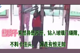 熊孩子竟然异想天开，钻入玻璃门缝隙，不料卡住头，真是有惊无险视频封面