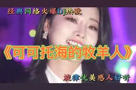 劲爆DJ热歌《可可托海的牧羊人》纪伟演唱，旋律优美感人好听视频封面