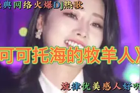 劲爆DJ热歌《可可托海的牧羊人》纪伟演唱，旋律优美感人好听视频封面