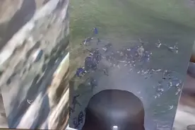 骑马与砍杀二战mod:日伪满联军对济南城内外万岁冲锋，尸横遍野视频封面