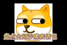 盘点全网沙雕表情包合集视频封面