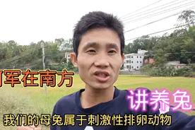 平时给母兔配种，放母兔进去公兔会咬母兔毛，是怎么回事视频封面