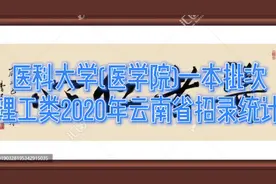 医科大学(医学院)一本批次理工类2020年云南省招录统计