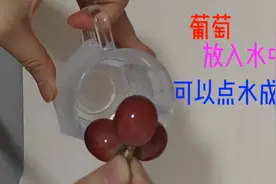 冰葡萄，入水会结冰？跟我去体验视频封面