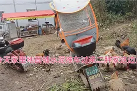 今天家里铺水泥地面下雨天就不怕了，包给人家做，五十多一平方视频封面