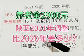 养老金2900元，缴费26年，陕西2021年调整比2020年差多少？视频封面