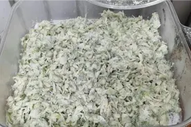 蒸洋槐花很多人做不好，关键是做法不对，记住这一步，不沾也不坨