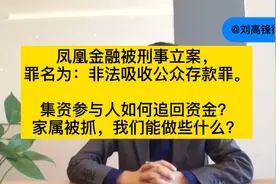 凤凰金融被刑事立案： 集资参与人如何追回投资？家属被抓怎么办视频封面