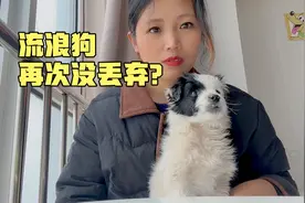 捡了一个月的流浪狗，再次被丢弃，它怎么是这个反应？让人泪崩了视频封面