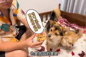 花8个小时给狗狗做月饼吃，狗狗吃得狼吞虎咽满脸都是，超过瘾！