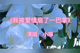 《我被爱情扇了一巴掌》，演唱：小琢视频封面