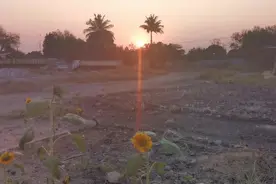 有阳光的地方，就是有梦想的地方视频封面