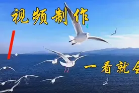 唯美的水滴转场效果 太漂亮了 制作简单一看就会 3秒钟教会你