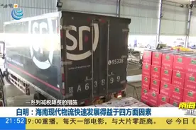 海南现代物流业如何快速发展视频封面