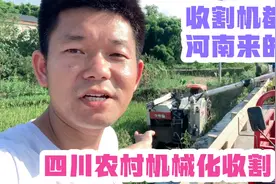 四川农村也用上机械化收割了！开收割机的却都是河南人，咋回事？视频封面