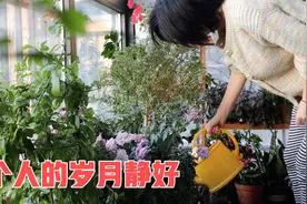 我50岁独居，一个人熬过所有的苦，不再需要别人给的糖视频封面