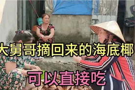 原来越南大舅哥摘回来的海底椰，是大自然赠予的野味，可以直接吃视频封面