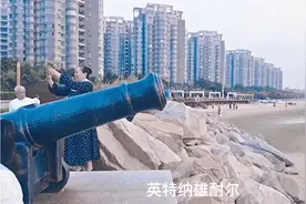 《国际歌》中的“英特纳雄耐尔”（百度百科搜索）视频封面