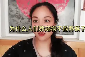 为什么人们养宠物不能养猴子？因为猴子是灵长类动物太聪明会模仿视频封面