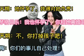 斯琴格日乐和臧天朔的爱恨纠葛视频封面