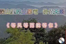 《等风等雨我等你》歌曲旋律优美，好听醉了，谁听谁喜欢视频封面